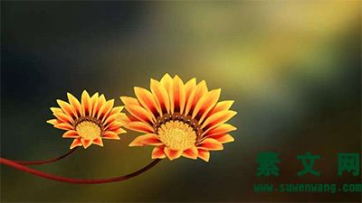 人生應(yīng)把握的十個(gè)度