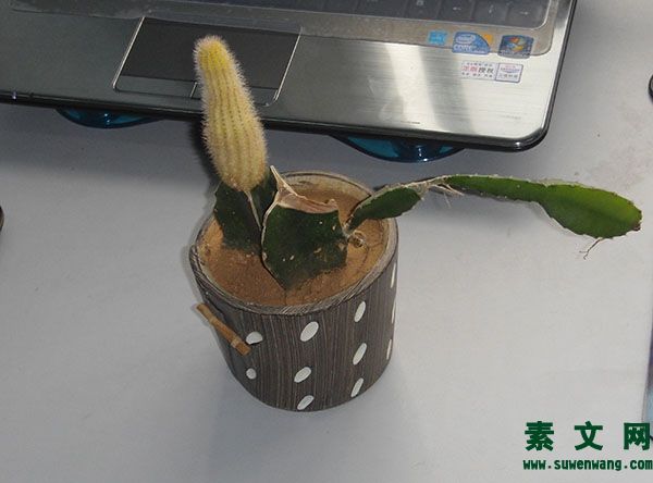樂觀心態(tài)的短句