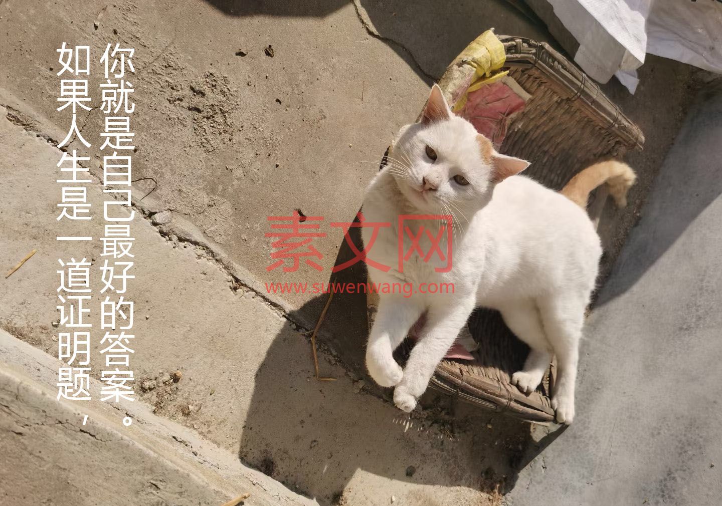 如果人生是一道證明題，你就是自己的答案。