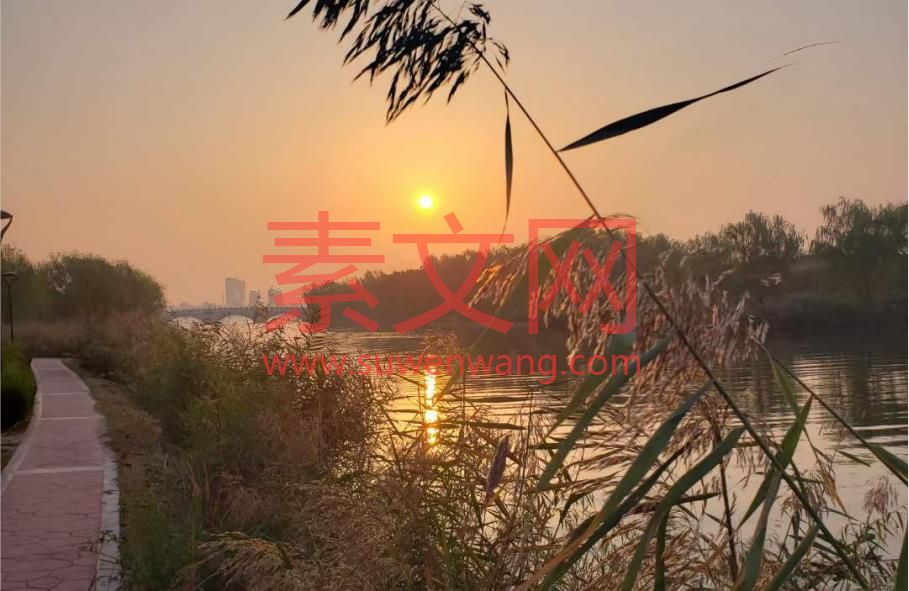 永不言輸，鼓勵(lì)學(xué)習(xí)的經(jīng)典句子