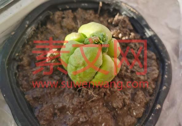 不再精神內(nèi)耗的10個方法